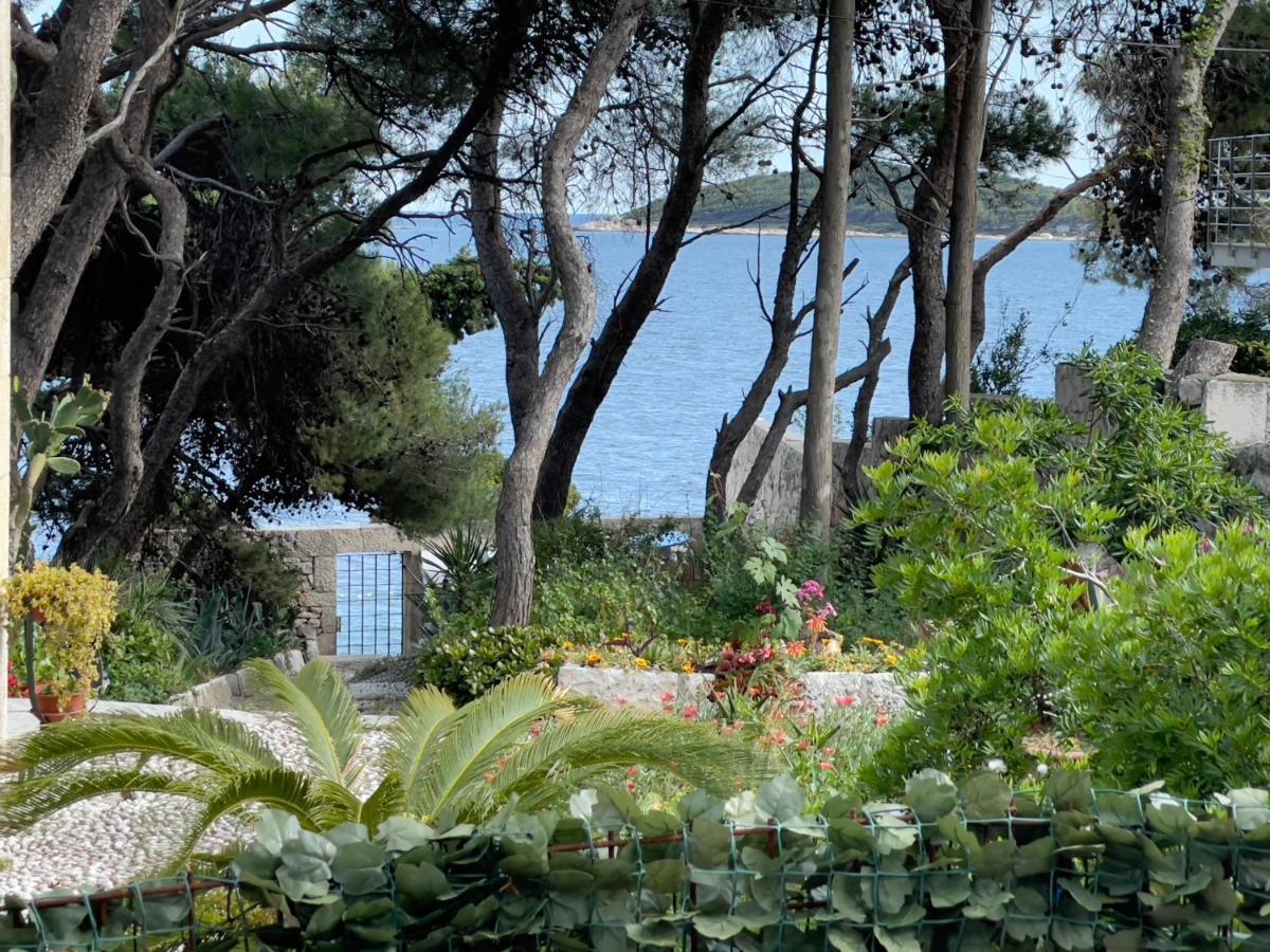 Beach Residences Caroline Hvar Town Dış mekan fotoğraf